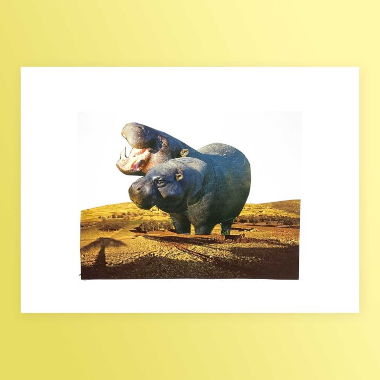 Hippo-s