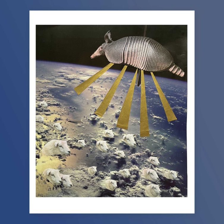 space-a-dillo